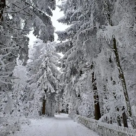 Himmelsleiter Sankt Englmar